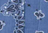 Moyen Cabas Matelassé - HAPPY FACE - All Chambray