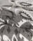 Chouchou - Dark Grey / Pale Grey