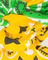 Chouchou - Gold Yellow / Vert Gazon