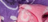 Chouchou - Pale Pink / Lilas