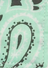 Porte-carte - RAINBOW - Mint / Pale Pink