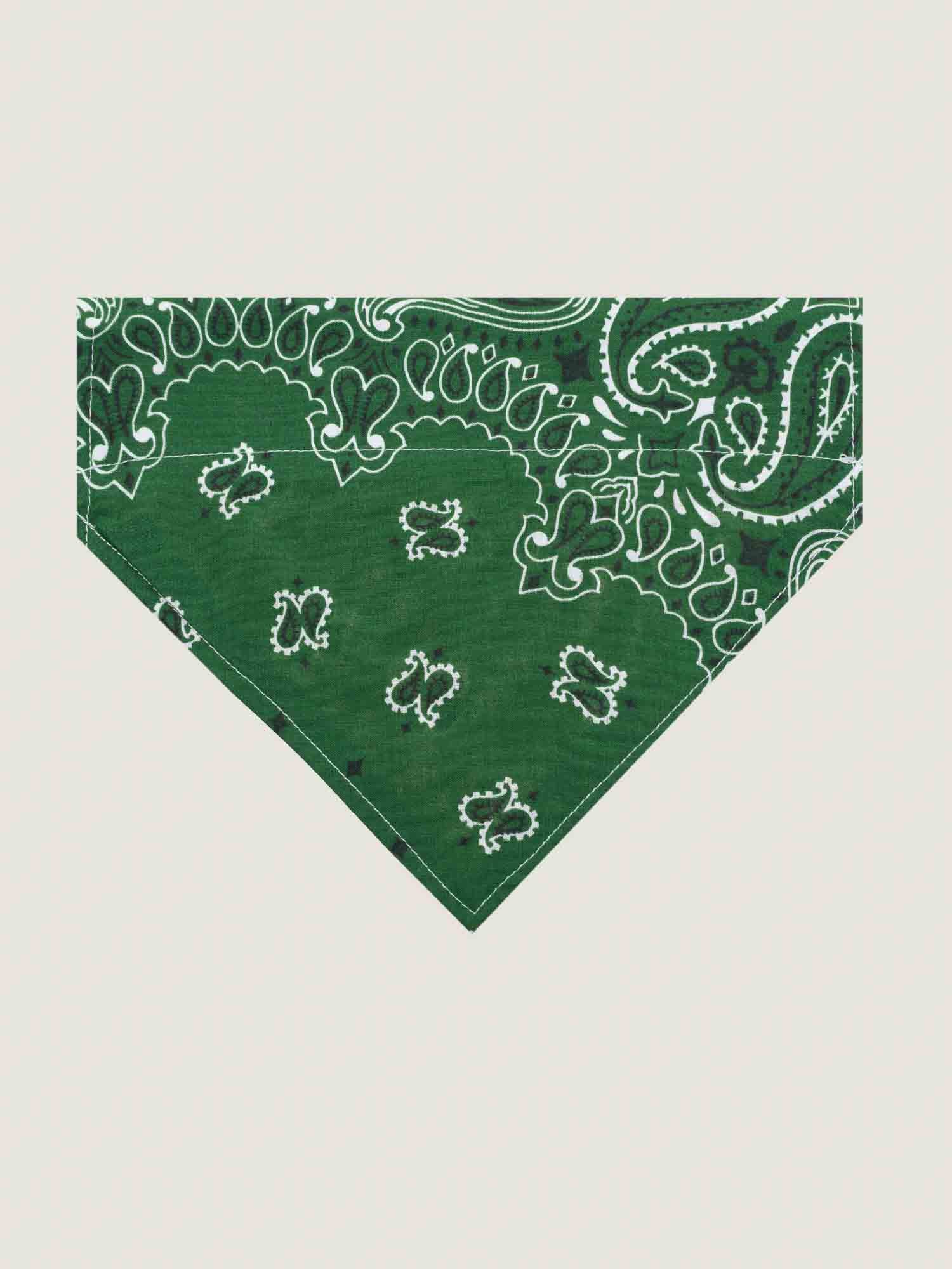 Grand bandana collier chien - Vert Week-end / Bronze - Taille L