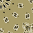 Cordon Beige