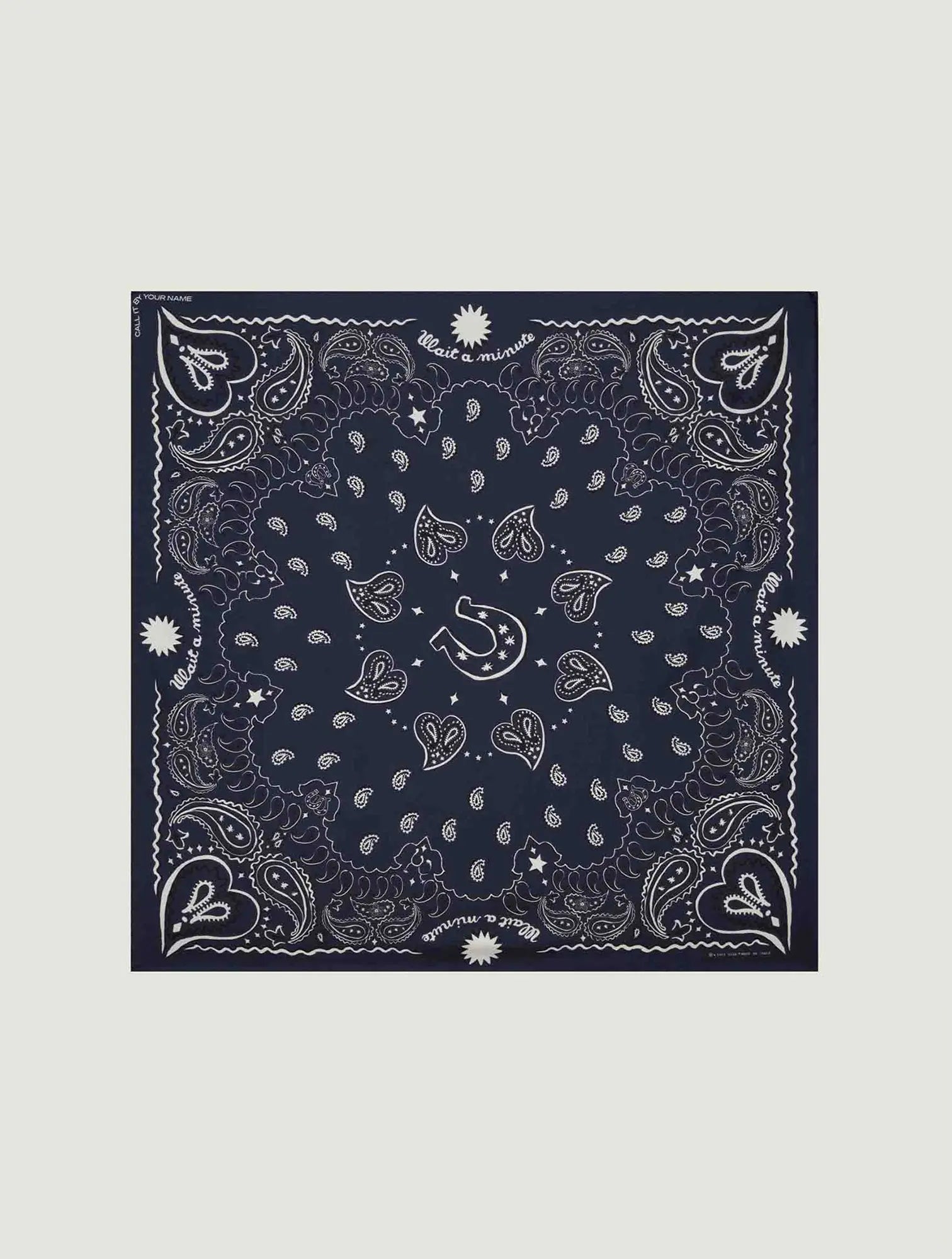 Silk bandana - NAVY HOWDY - Small Size