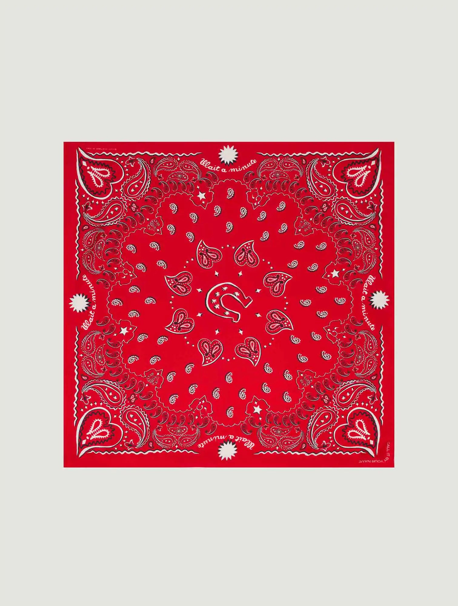 Silk bandana - RED HOWDY - Small Size