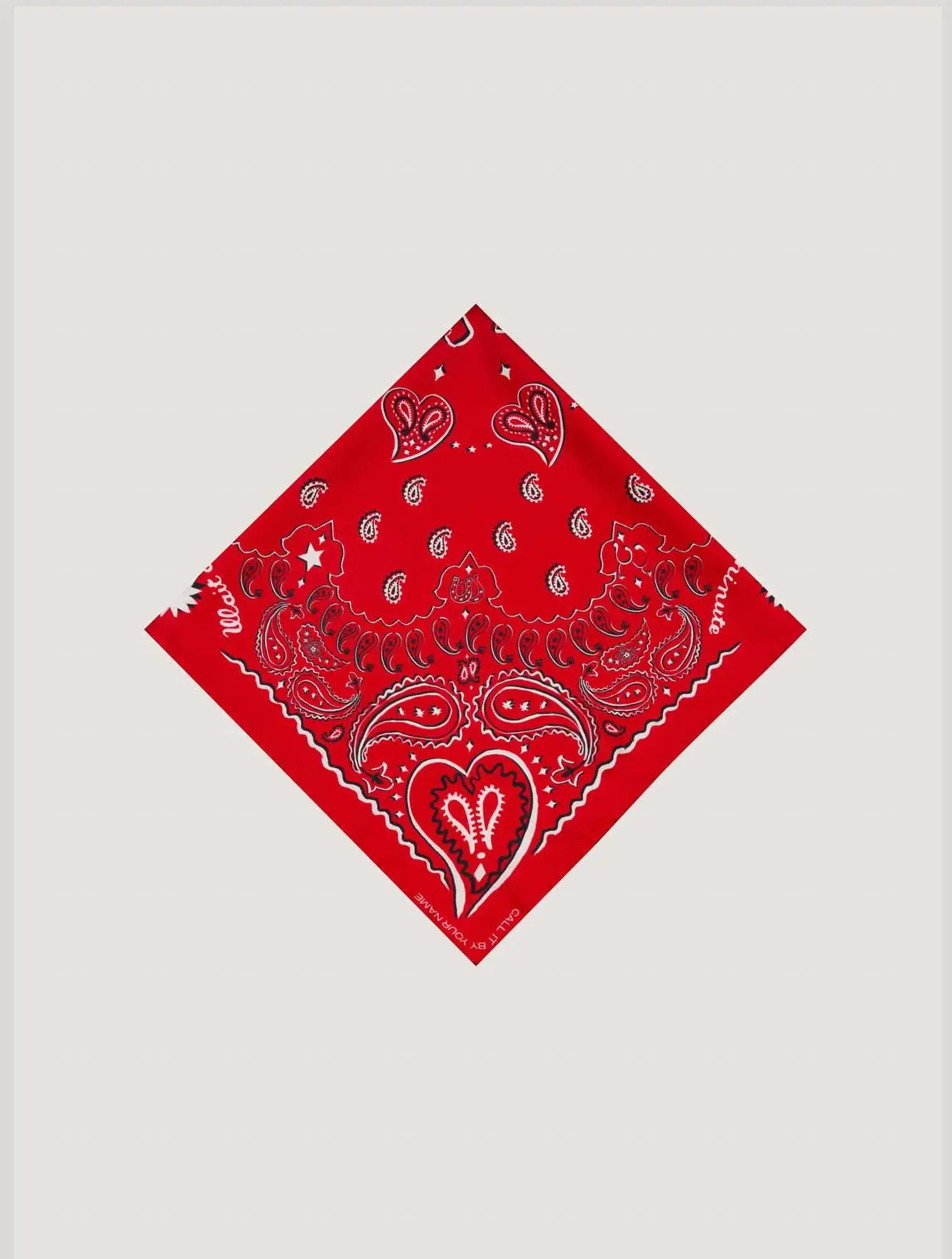 Bandana en Soie - RED HOWDY - Petit Modèle