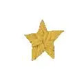 Star emoji