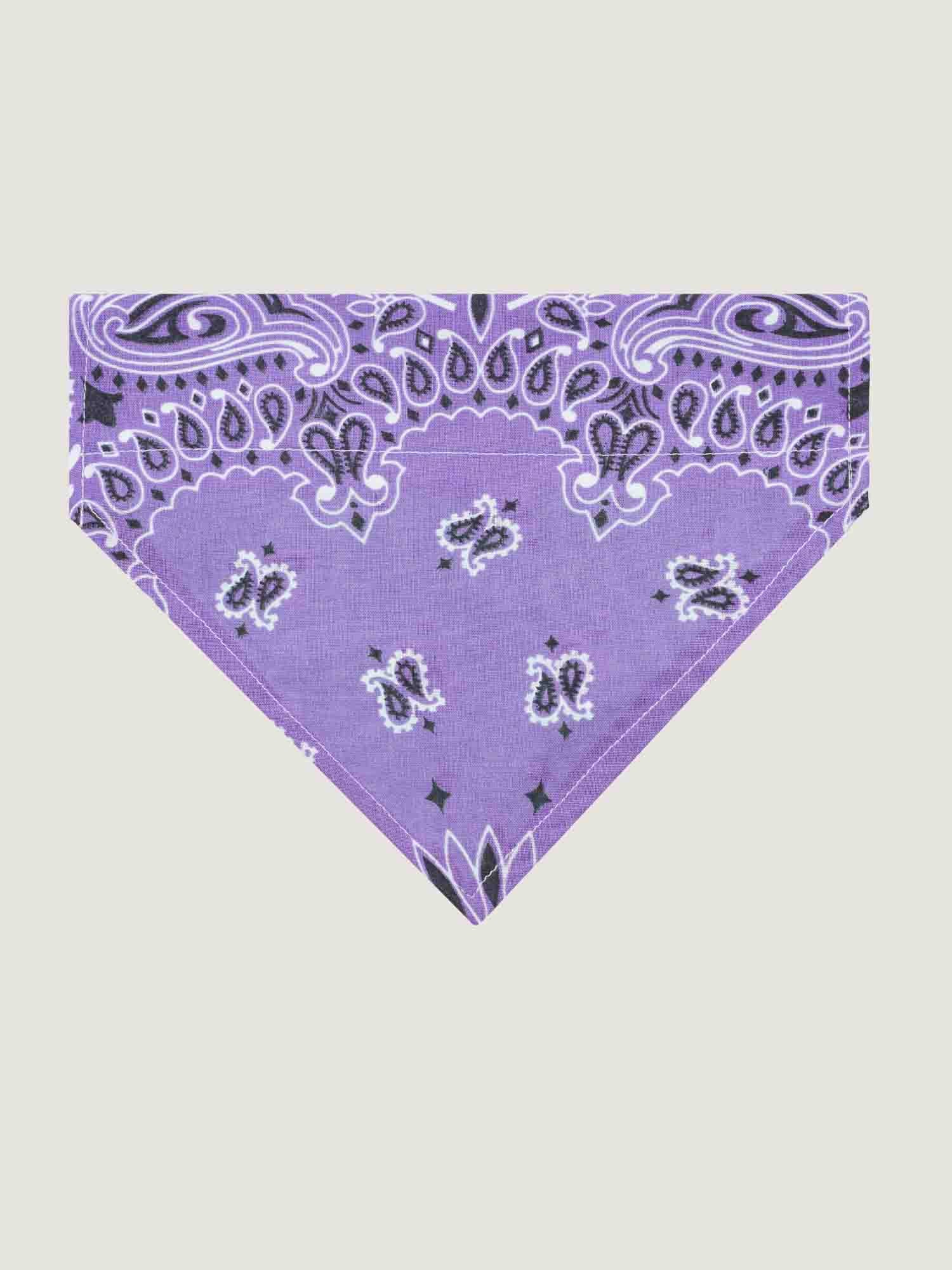 Grand bandana collier chien - Lilas / Mint