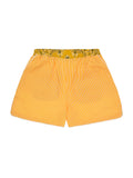 Striped Shorts - Yellow / Honey Suckle / Mustard