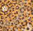 Bandana en Soie - LEOPARD - Grand Modèle